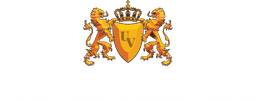 logo_vizja
